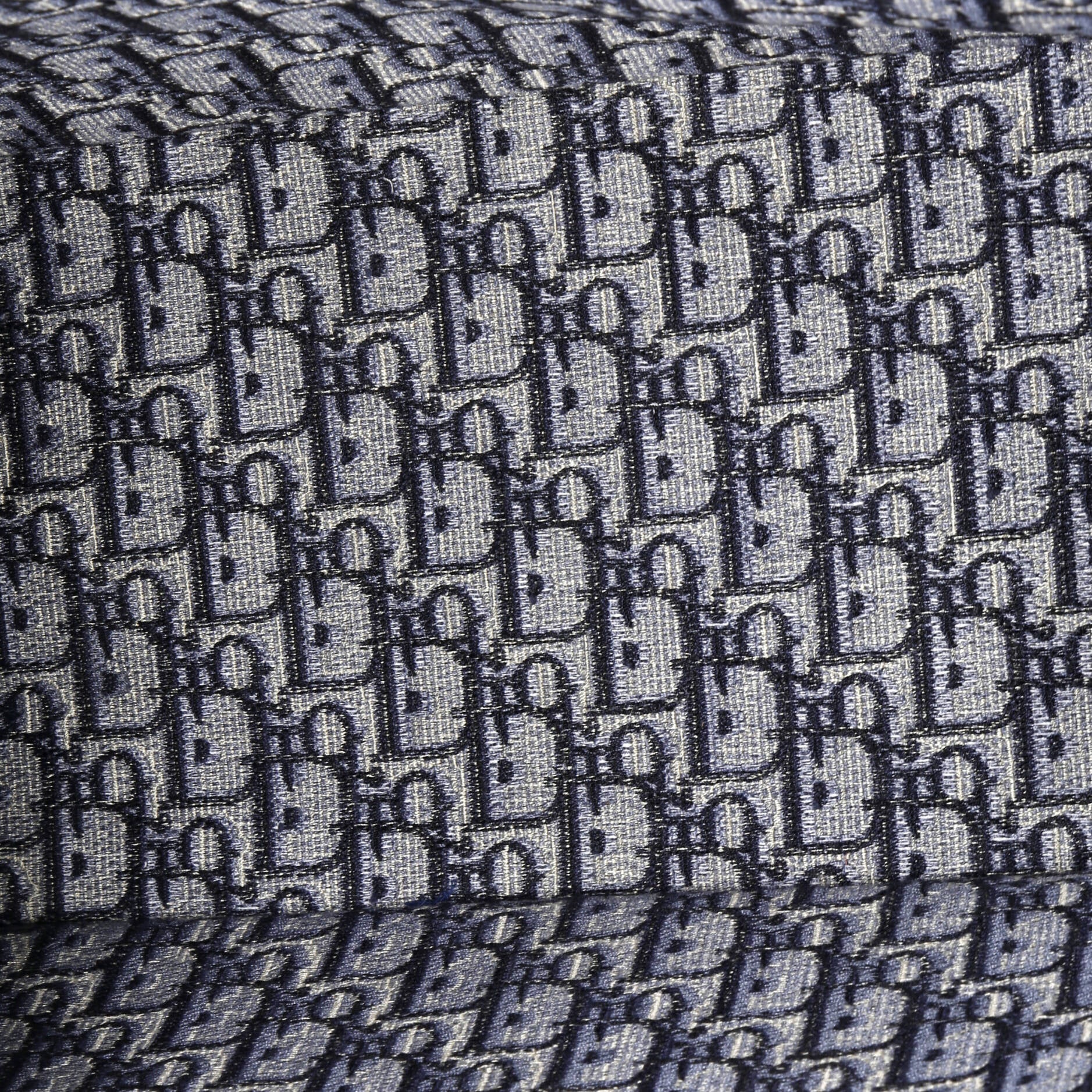 Christian Dior Book Tote Oblique Canvas