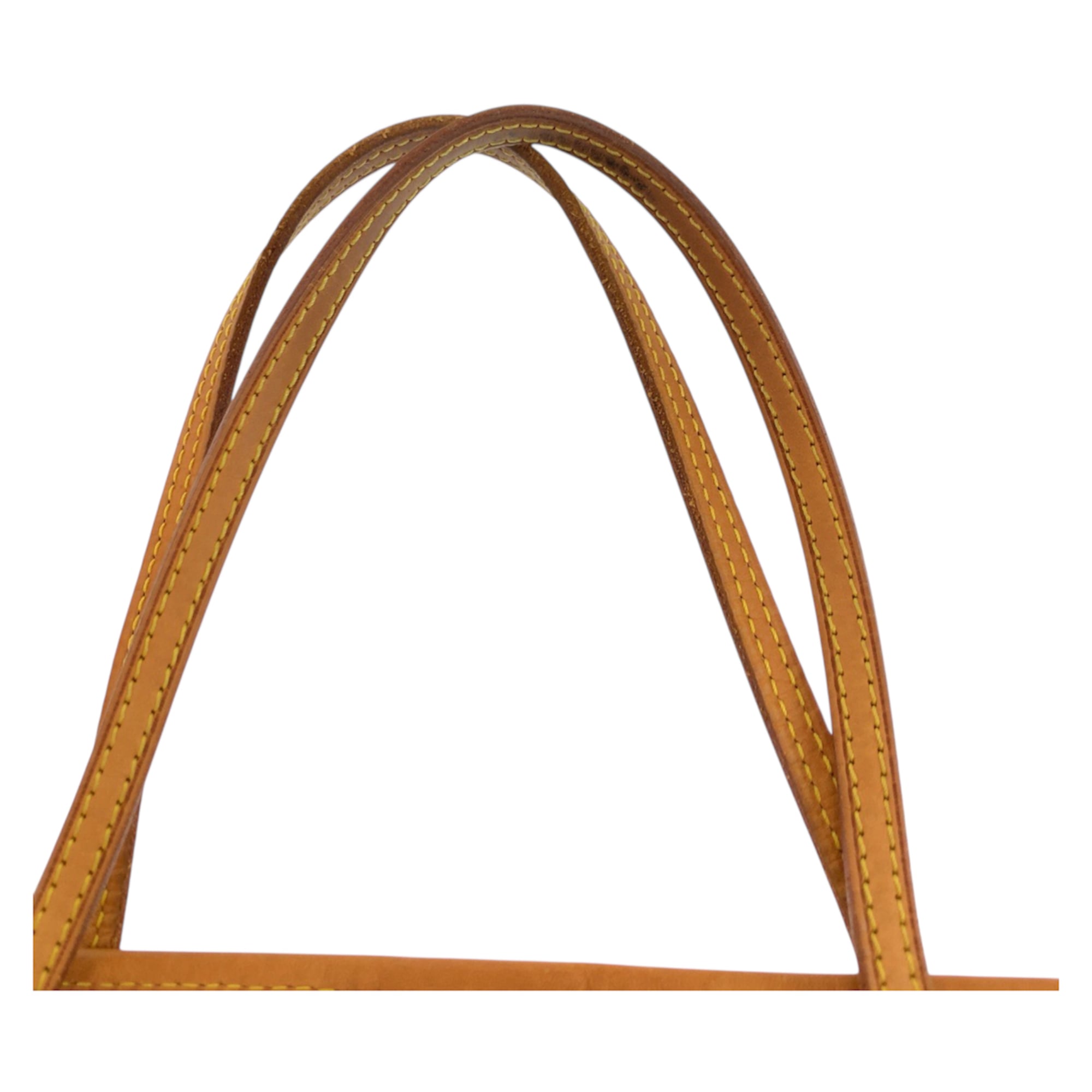 Louis Vuitton Neverfull Tote Canvas Pm