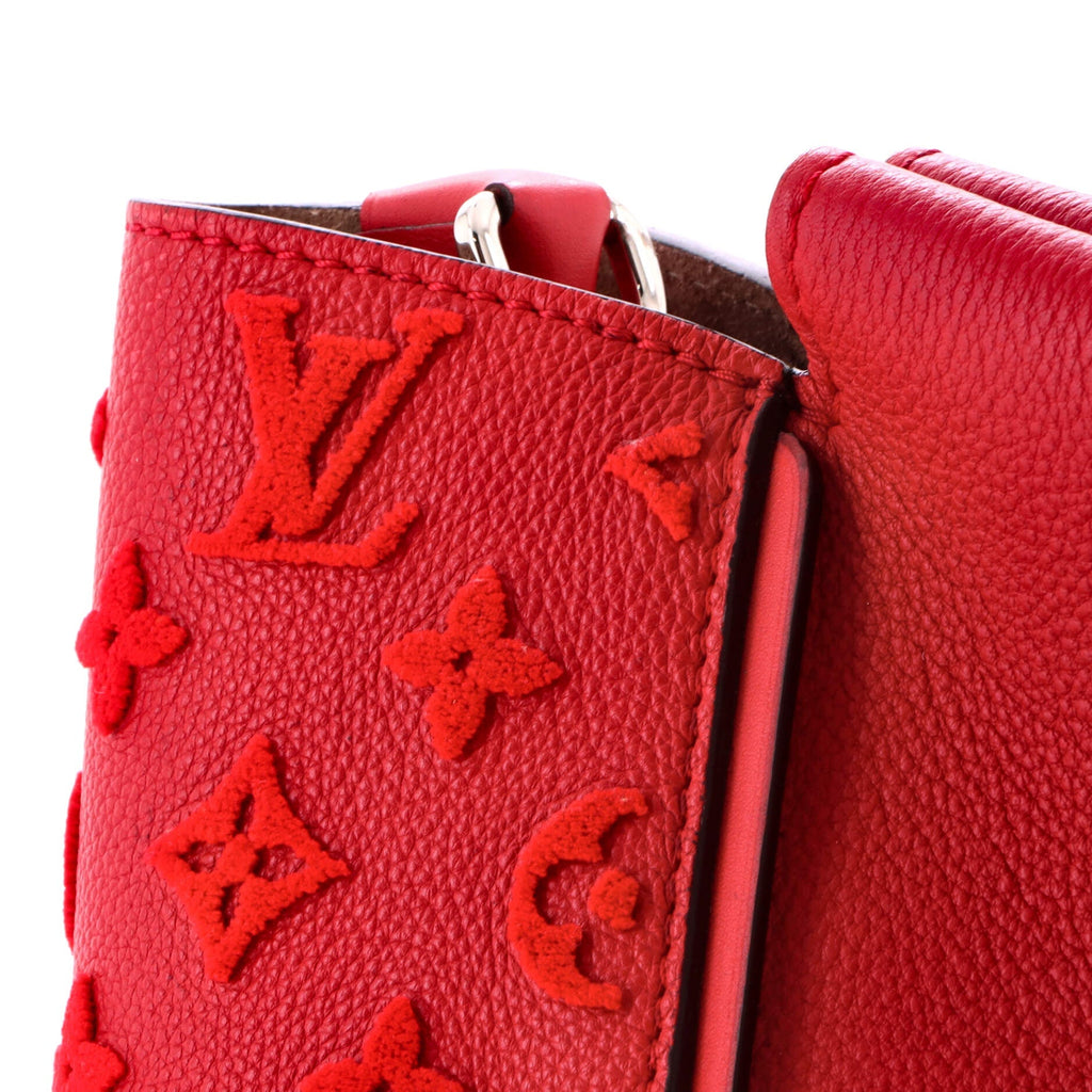 Louis Vuitton W Tote Veau Cachemire