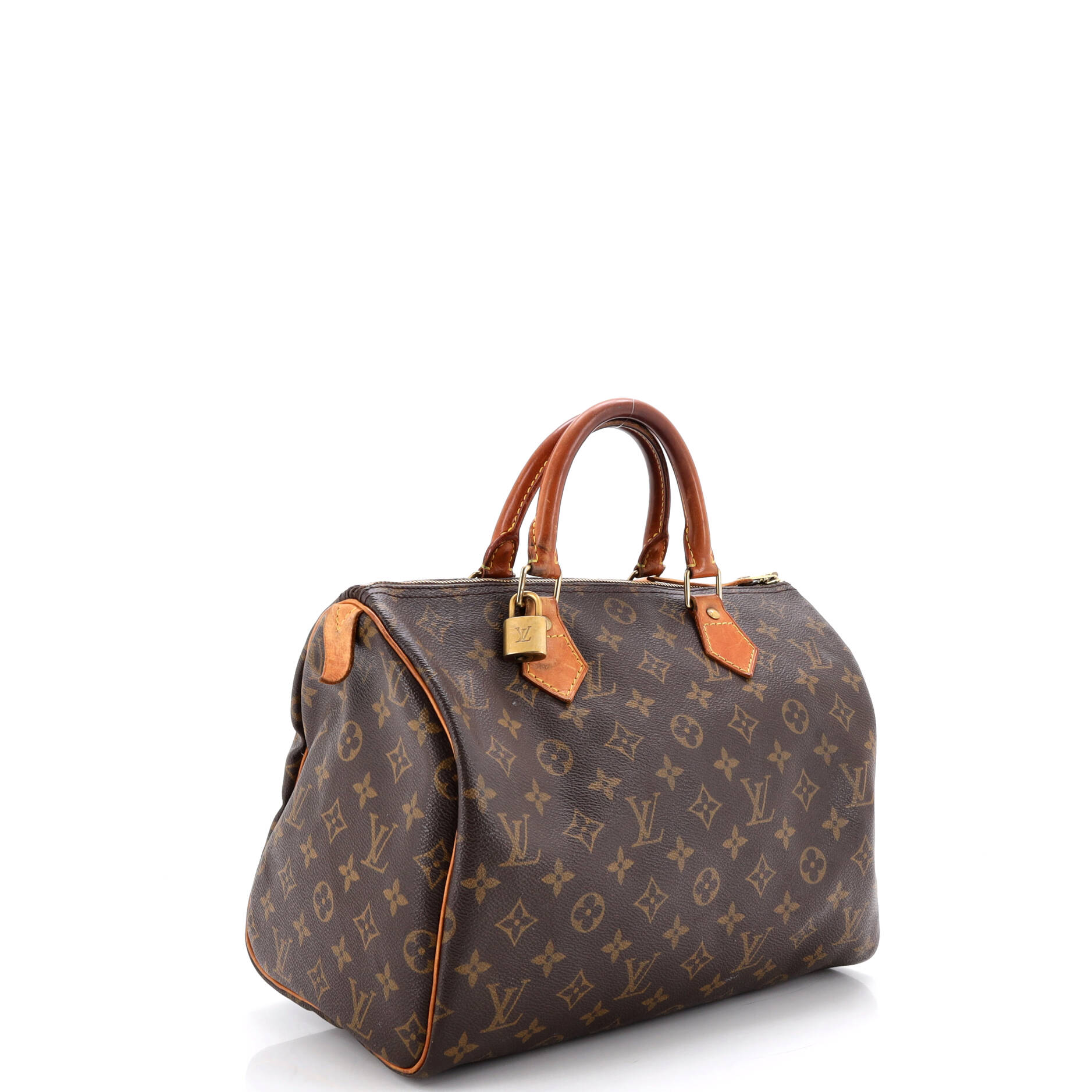 Louis Vuitton Speedy Handbag Canvas 30