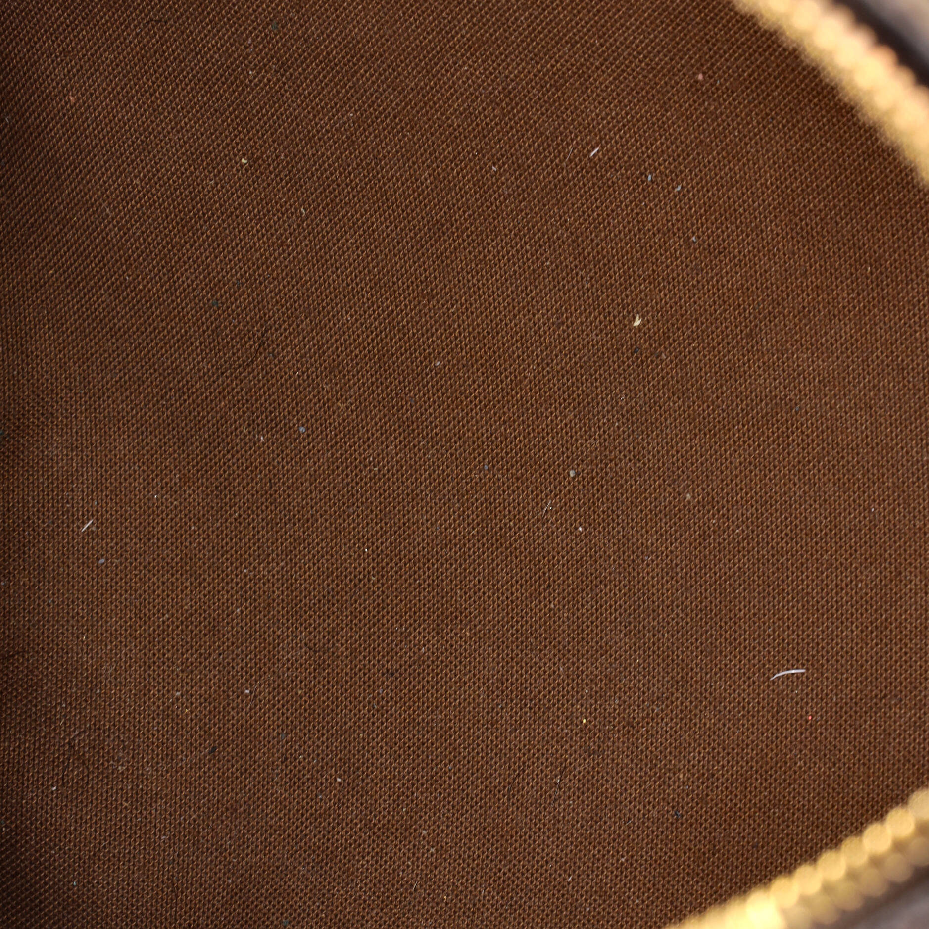 Louis Vuitton Speedy Handbag Canvas 30