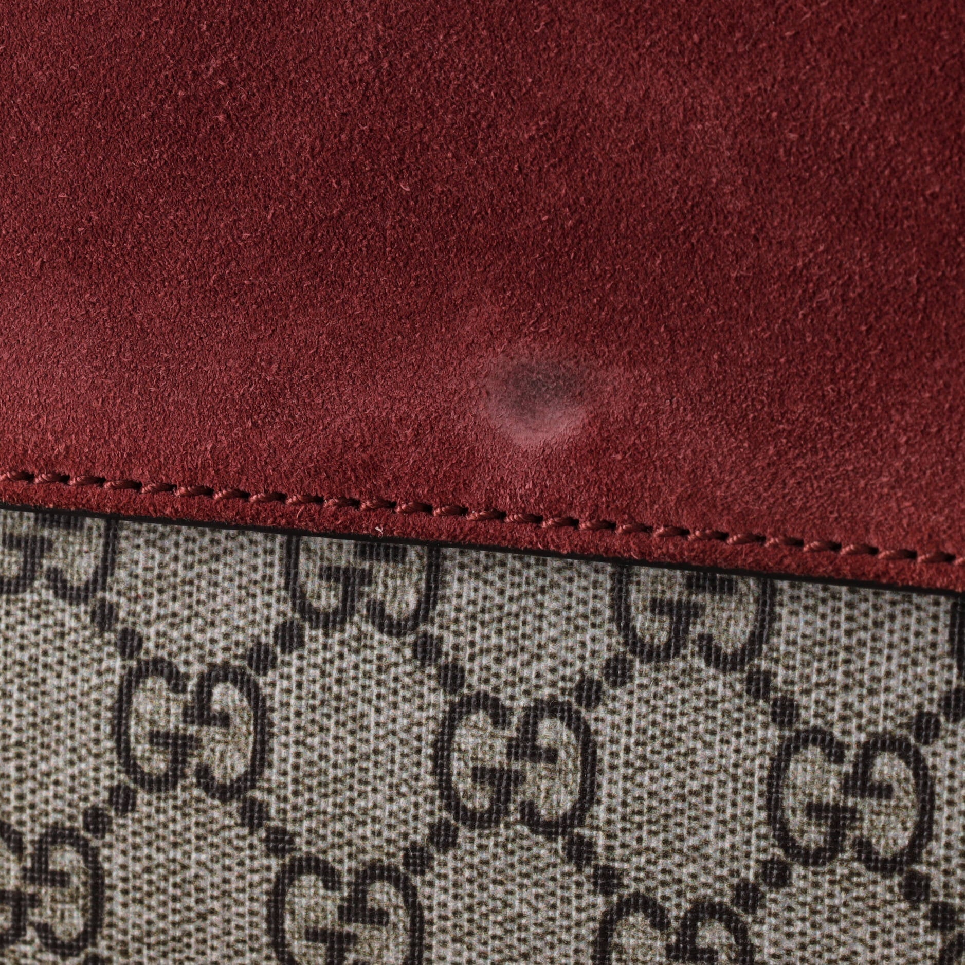 Gucci Dionysus Bag Blooms Print Gg