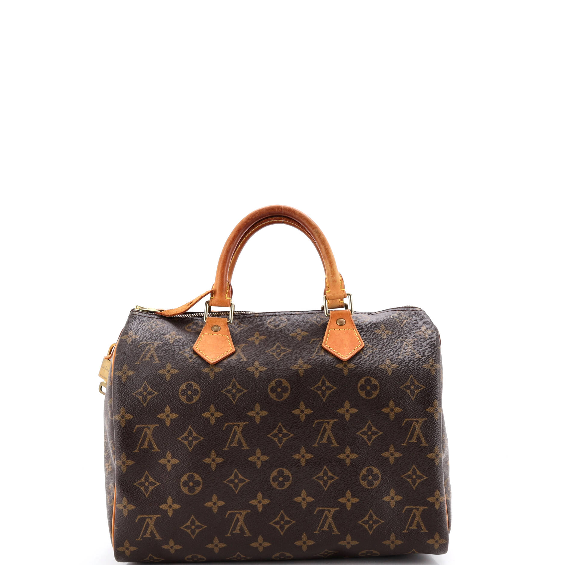 Louis Vuitton Speedy Handbag Canvas 30