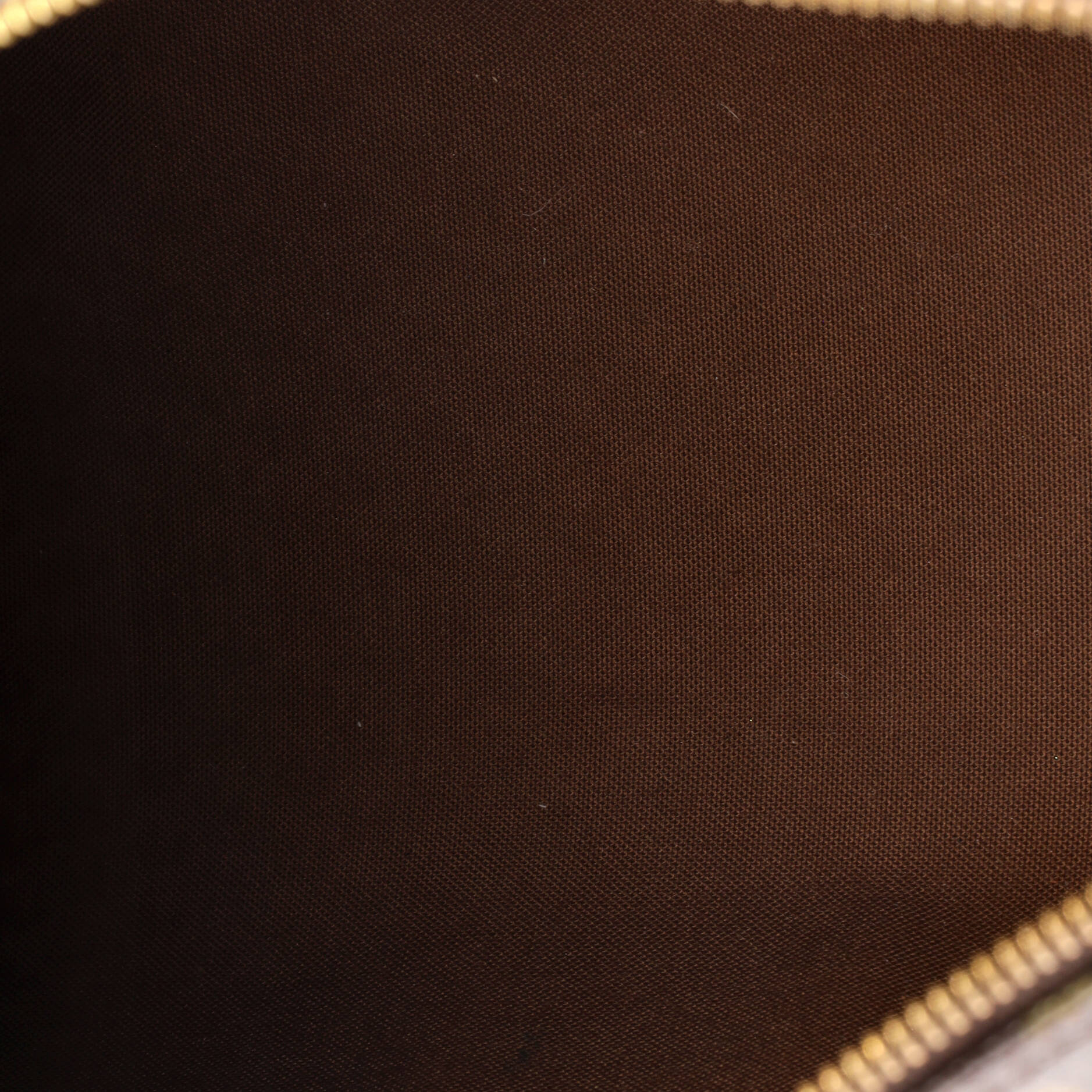 Louis Vuitton Speedy Handbag Canvas 30