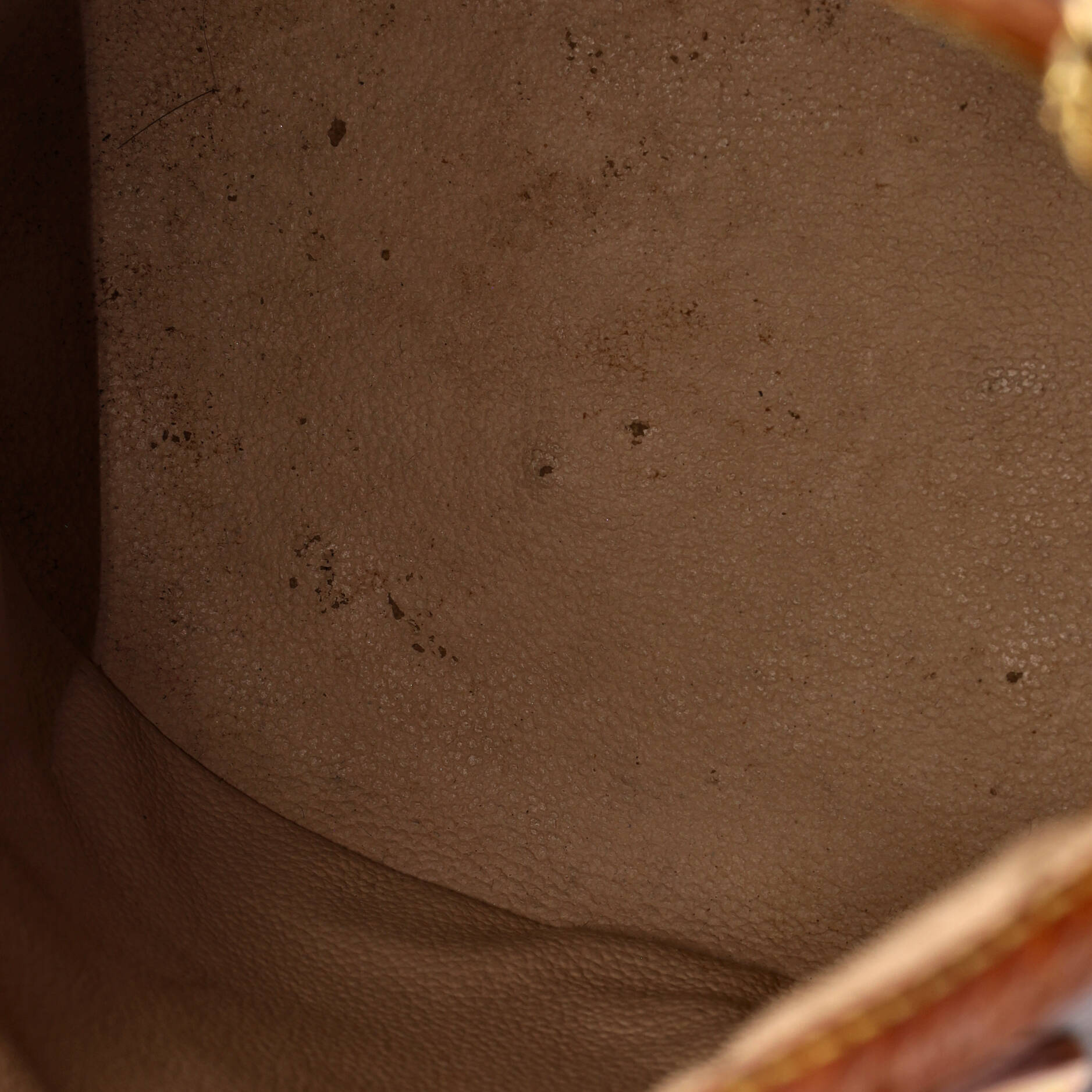 Louis Vuitton Petit Bucket Bag Canvas