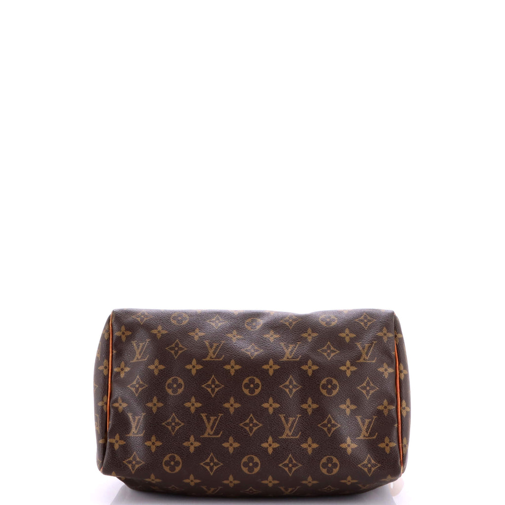 Louis Vuitton Speedy Handbag Canvas 30