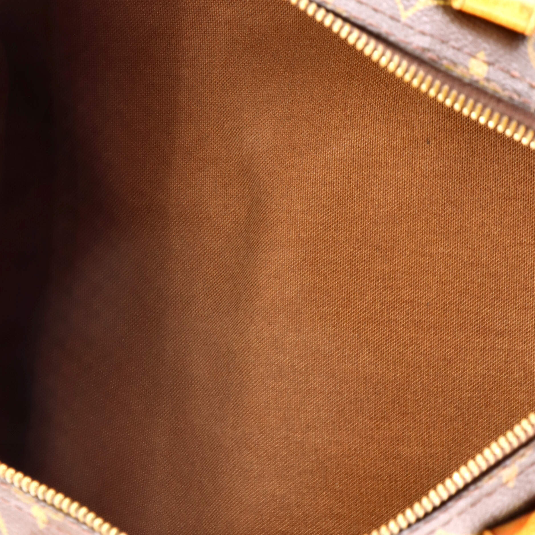 Louis Vuitton Speedy Handbag Canvas 30