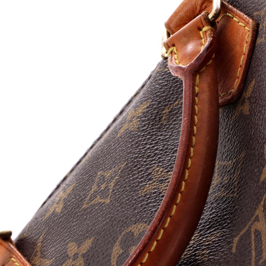Louis Vuitton Speedy Handbag Canvas 30