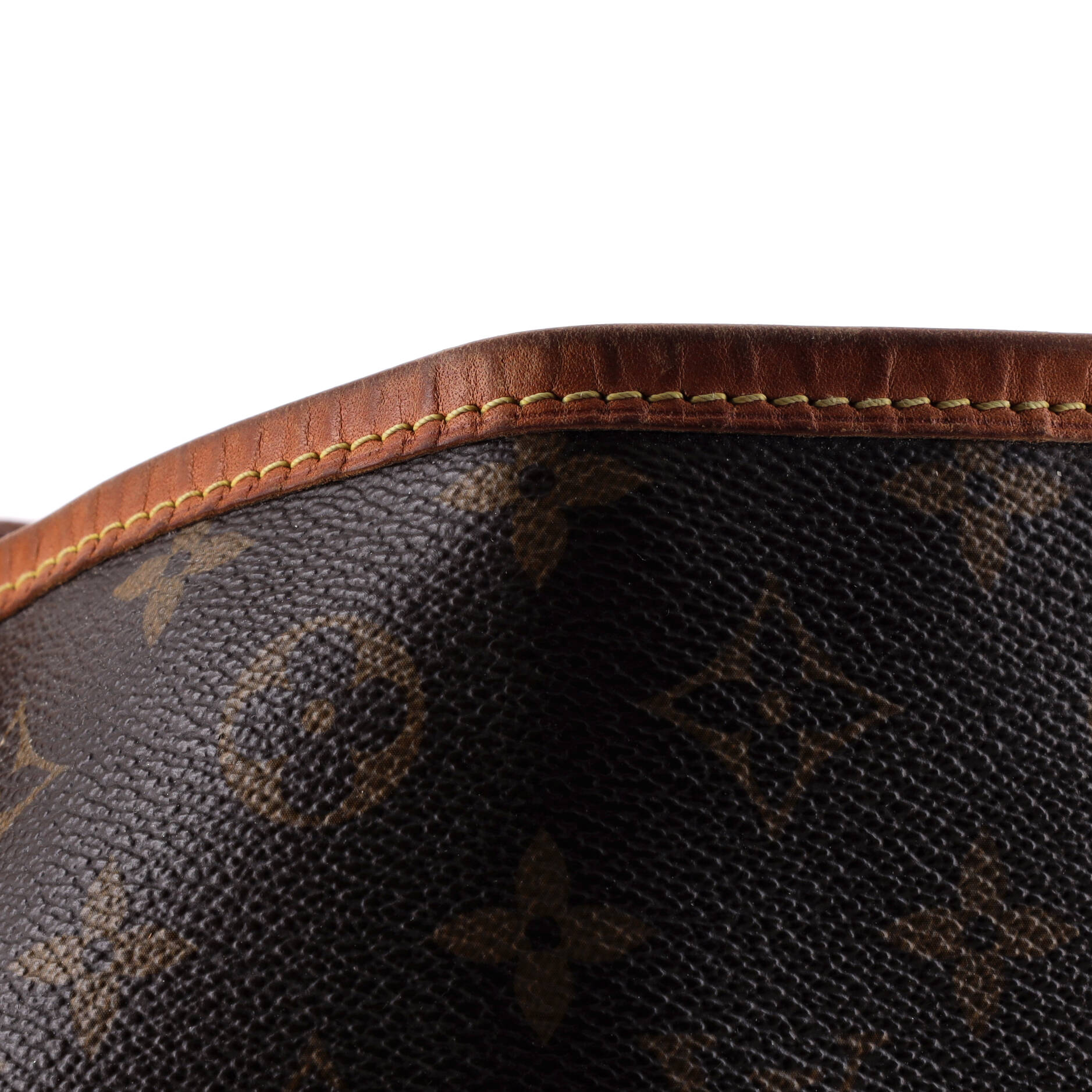 Louis Vuitton Delightful Handbag Canvas