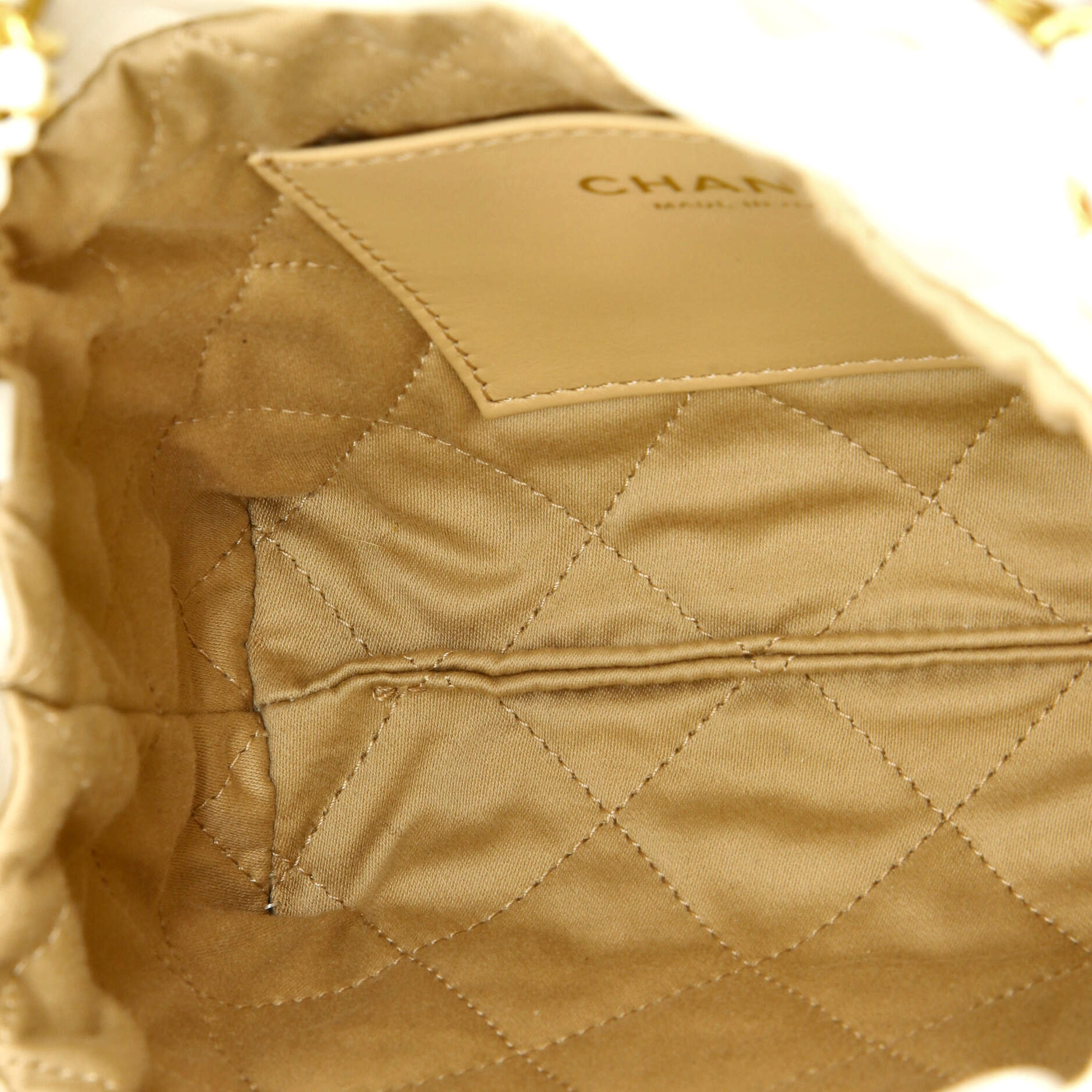 Chanel 22 Chain Hobo Quilted Shaded